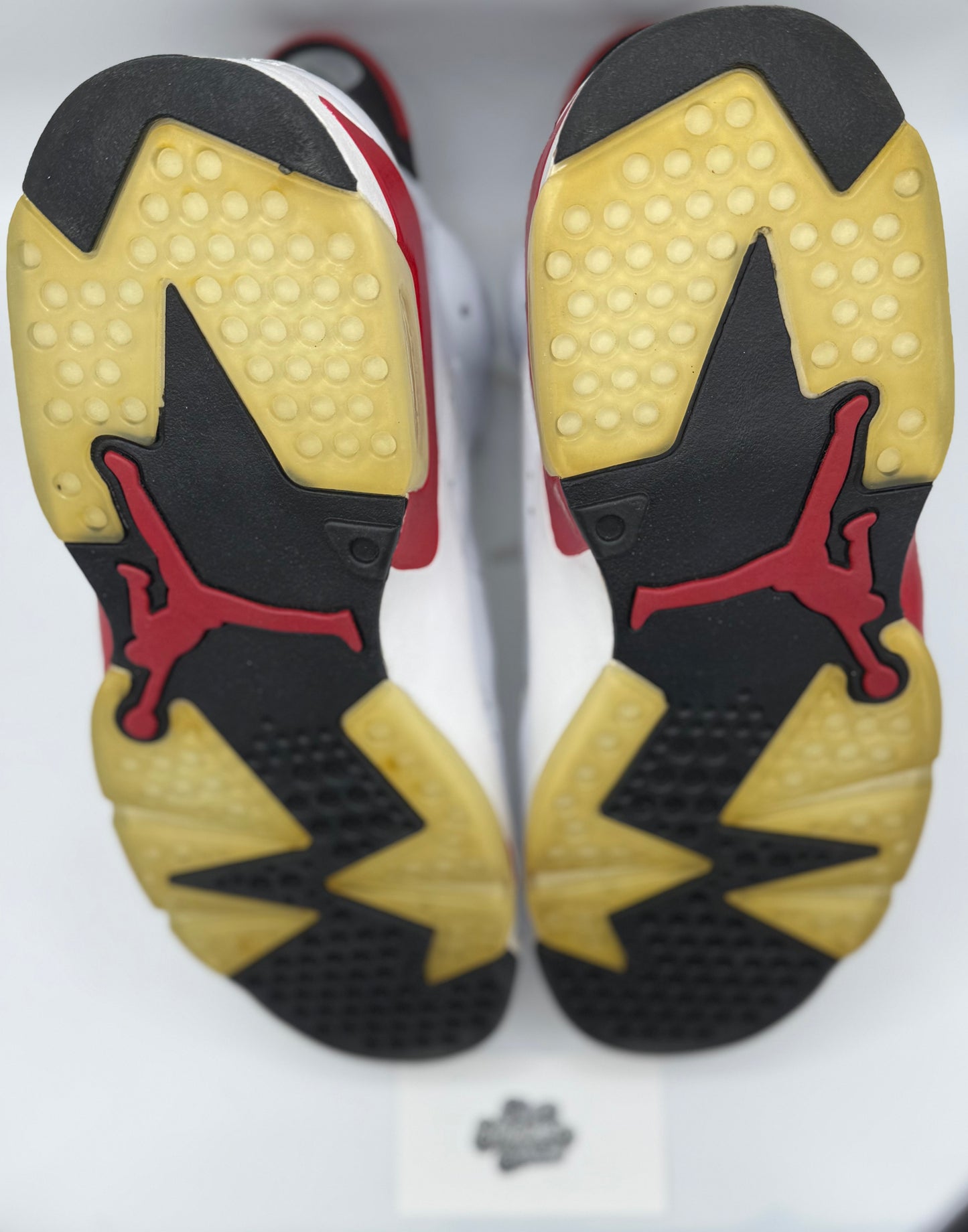 Jordan 6 Retro Bulls (2010)